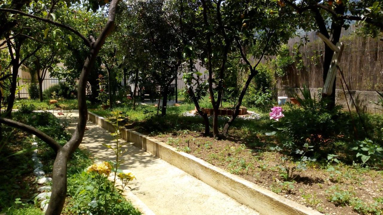 Tea Apartment โกตอร์ ภายนอก รูปภาพ