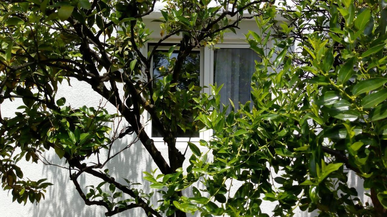 Tea Apartment โกตอร์ ภายนอก รูปภาพ